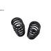 TUIX SPORTS SPRING FULL SET FOR HYUNDAI AVANTE ELANTRA 2015-17
