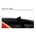 SKIN COLOR ROOF PACKAGE SET FOR HYUNDAI AVANTE ELANTRA 2015-16 SKIN COLOR ROOF PACKAGE SET FOR HYUNDAI AVANTE ELANTRA 2015-16