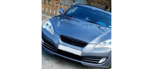 ARTX CARBON GOLD PEARL TUNING GRILLE HYUNDAI GENESIS COUPE 2008-11