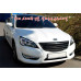 ARTX LUXURY CARBON TUNING GRILLE KIA K7 / CADENZA 2010-12