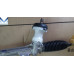 MOBIS NEW GEAR STEERING ASSY FOR HYUNDAI ELANTRA AVANTE 2010-14