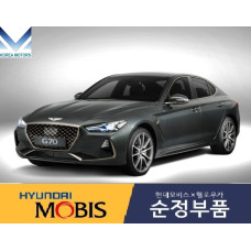 MOBIS FRONT SHOCK ABSORBERS SET FOR VEHICLE HYUNDAI G70 2017-20
