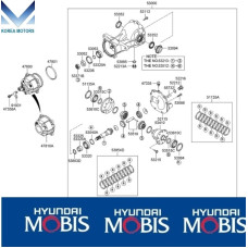 50-501 ZADNIY DIFFERENTIAL HYUNDAI SANTA FE CM 2006-09