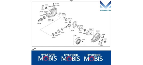 50-501 ZADNIY DIFFERENTIAL KIA STINGER 2017-20