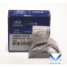 NEW BEARING PAIR SET-CROD FOR ENGINE D4HB FOR HYUNDAI KIA 2010-17 NEW BEARING PAIR SET-CROD FOR ENGINE D4HB FOR HYUNDAI KIA 2010-17