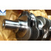 NEW CRANKSHAFT ASSY DIESEL ENGINE D4HB FOR HYUNDAI KIA 2010-23