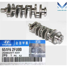 NEW CRANKSHAFT ASSY DIESEL ENGINE D4HB FOR HYUNDAI KIA 2010-23