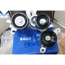 MOBIS NEW TENSIONER ASSY SET ENGINE G4KD G4KE KIA HYUNDAI 2009-17