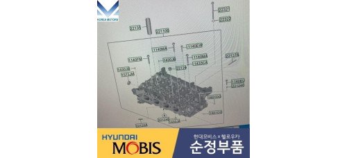 MOBIS GOLOVKA BLOKA CILINDROV G4NM HYUNDAI KIA 2019-23