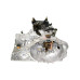 MOBIS NEW TRANSMISSION ASSY-MANUAL 4WD HYUNDAI SANTA FE 1999-05