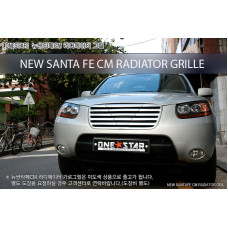 MORRIS RADIATOR GRILLE TYPE-1 FOR HYUNDAI SANTA FE CM 2005-10 MNR
